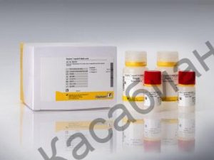 E8270 Enzytec™ Liquid D-Malic acid D-яблочная кислота