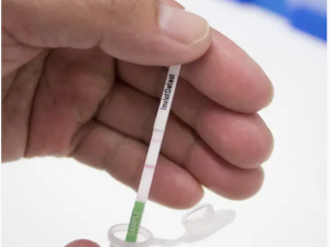 ISK49700/0010 InvictDetect™ ImmunoStrip® Экспресс тест для идентификации красного огненного муравья (RIFA) Solenopsis invicta (Soli2)